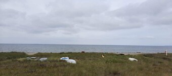 4 Star Holiday Home in Store Fuglede