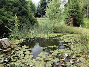Terrain de l’hébergement 