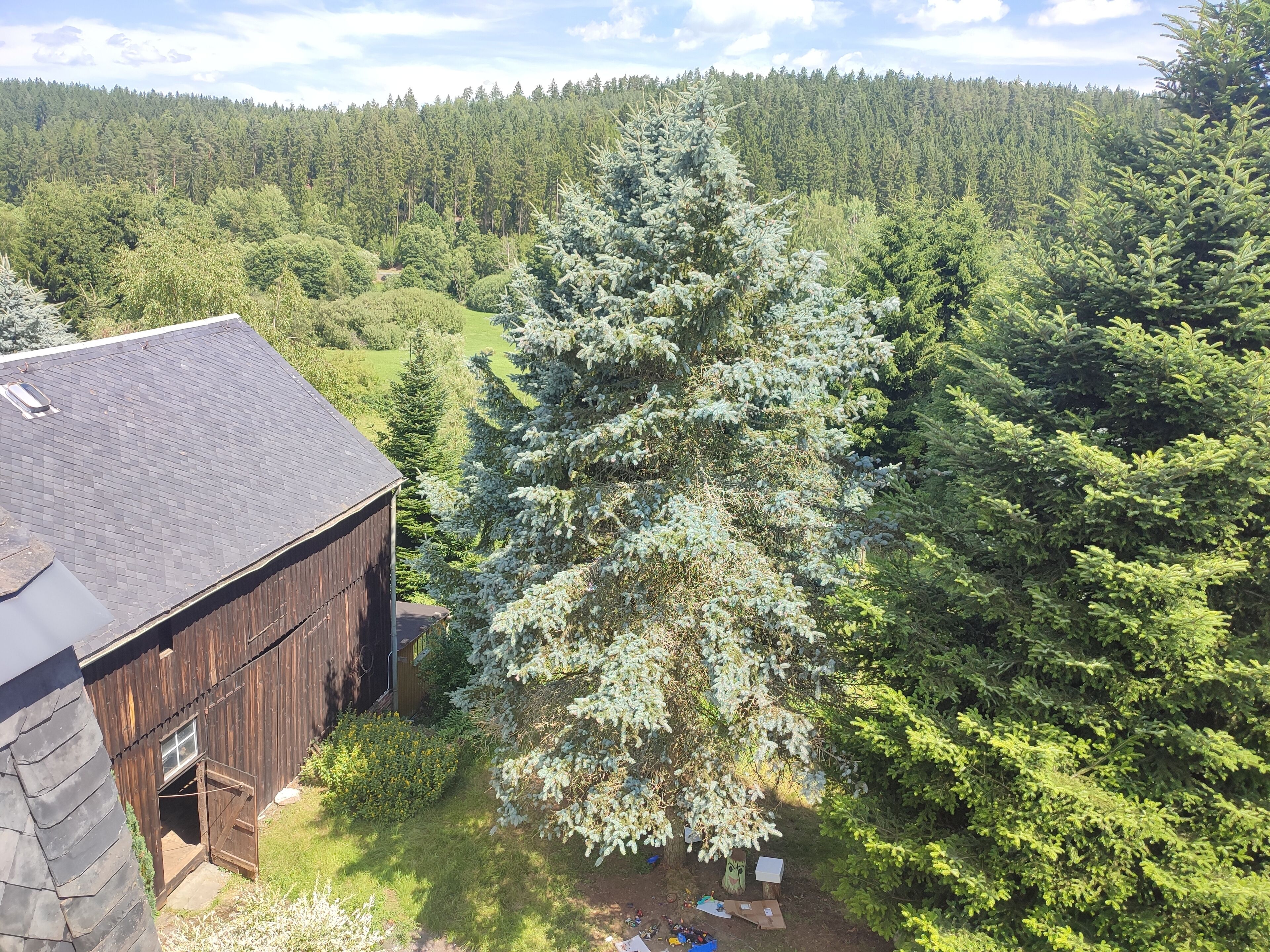 A wooden barn with a sloped roof, surrounded by dense forest and a clear sky.