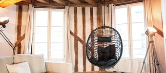 Duplex "Le Bourgogne" historic center of Orléans