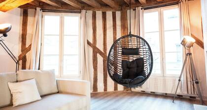 Duplex "Le Bourgogne" historic center of Orléans