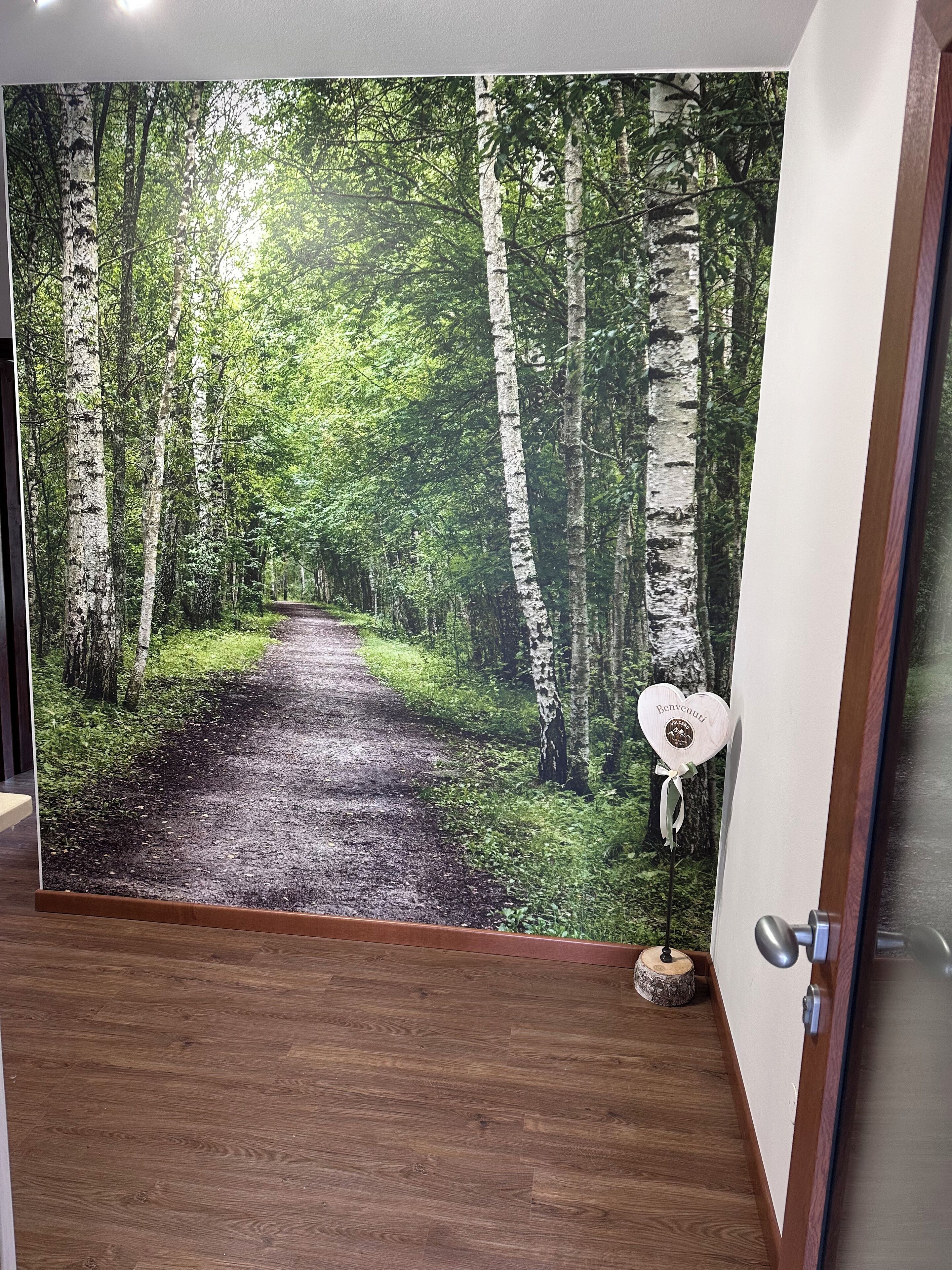 Appartamento Deluxe, balcone, vista città (Betulla) | Area soggiorno | Smart TV 42 pollici con canali digitali