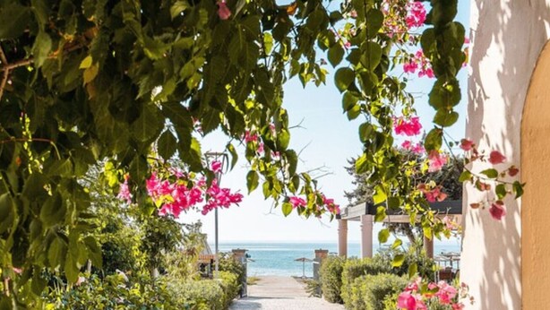 A paved pathway leading to a beach, surrounded by lush greenery and pink flowers.