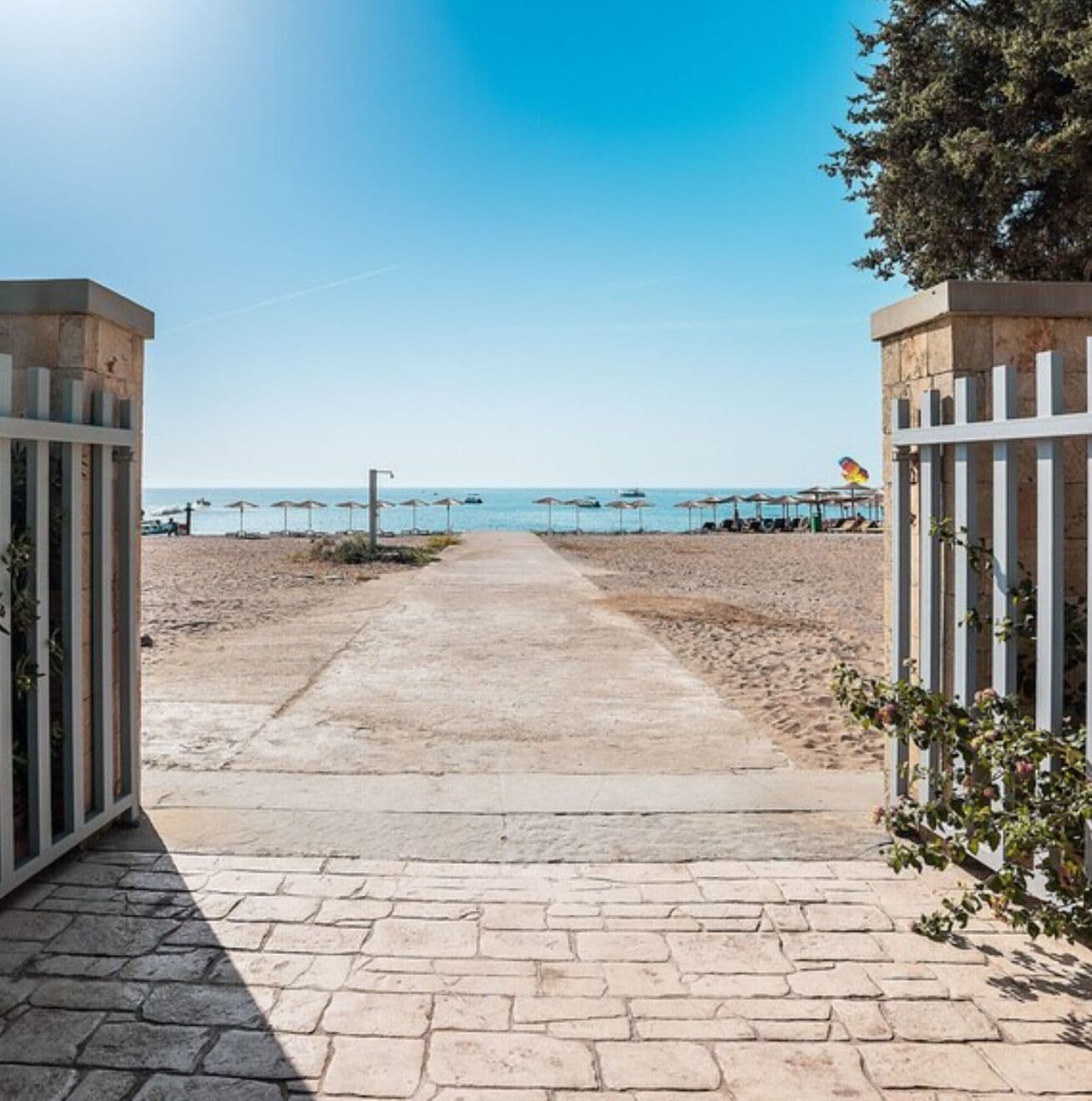 Área da propriedade