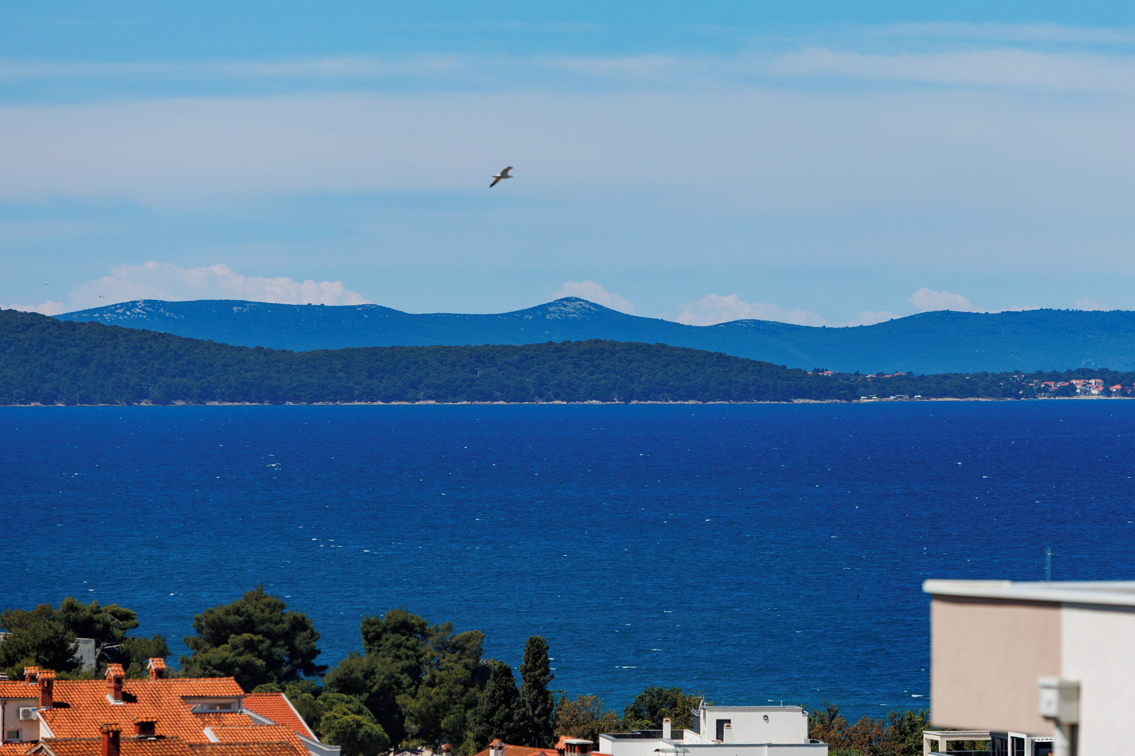 A coastal view with a clear sky, a bird flying, and distant mountains.