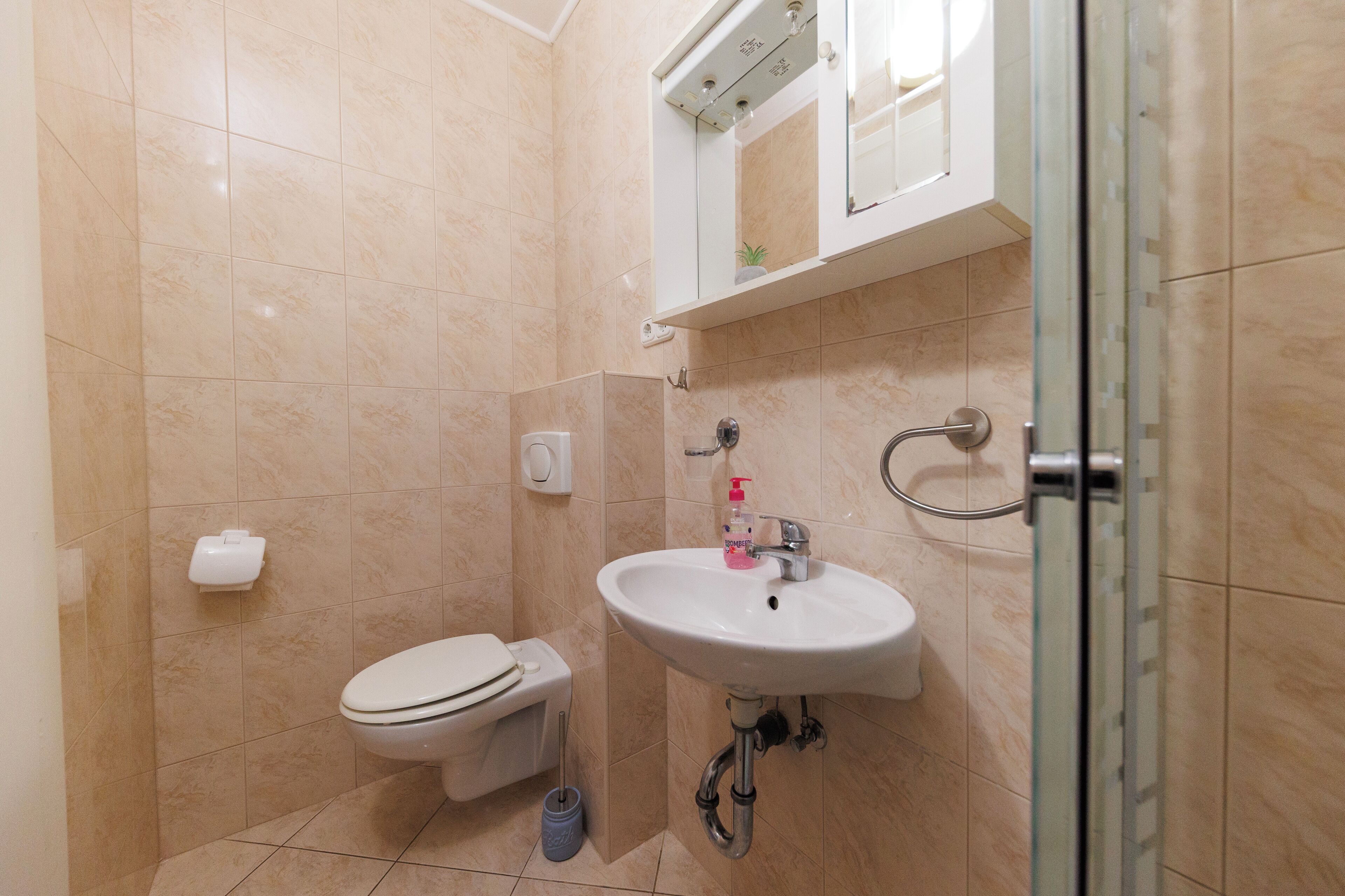 Un baño con inodoro, lavabo y ducha.