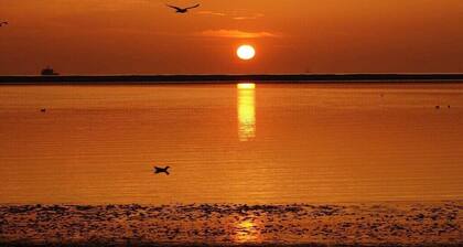 Jackdaw's Nest Geusenweg 4