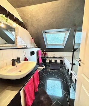 Shower, hair dryer