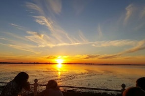 Overnatningsstedets område