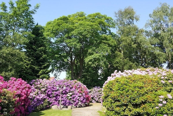 Overnatningsstedets område