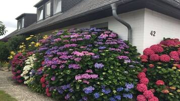 DĂ©tail de lâextĂ©rieur