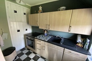 Fridge, oven, stovetop