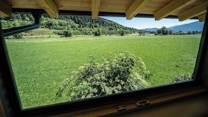 A view through a window with a wooden ceiling, a grassy field, and a forested hill in the background. - Studio Terra Salzburg Ecosuite (Altenmarkt im Pongau)