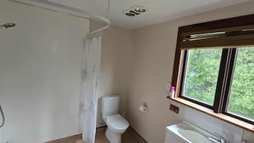 Shower, towels, soap, toilet paper