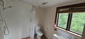 Shower, towels, soap, toilet paper