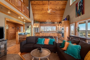 Télévision, cheminée, espaces bureaux