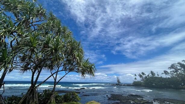 Beach - Rainforest Retreat Sun Cottage — 30 Minutes from Volcano National Park & Hilo (Mountain View)