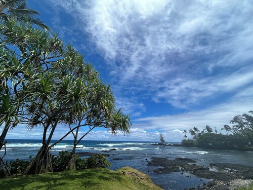 Rainforest Retreat Sun Cottage — 30 Minutes from Volcano National Park & Hilo