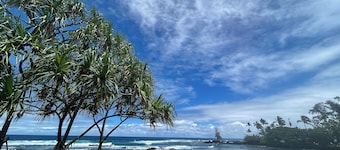 Rainforest Retreat Sun Cottage — 30 Minutes from Volcano National Park & Hilo