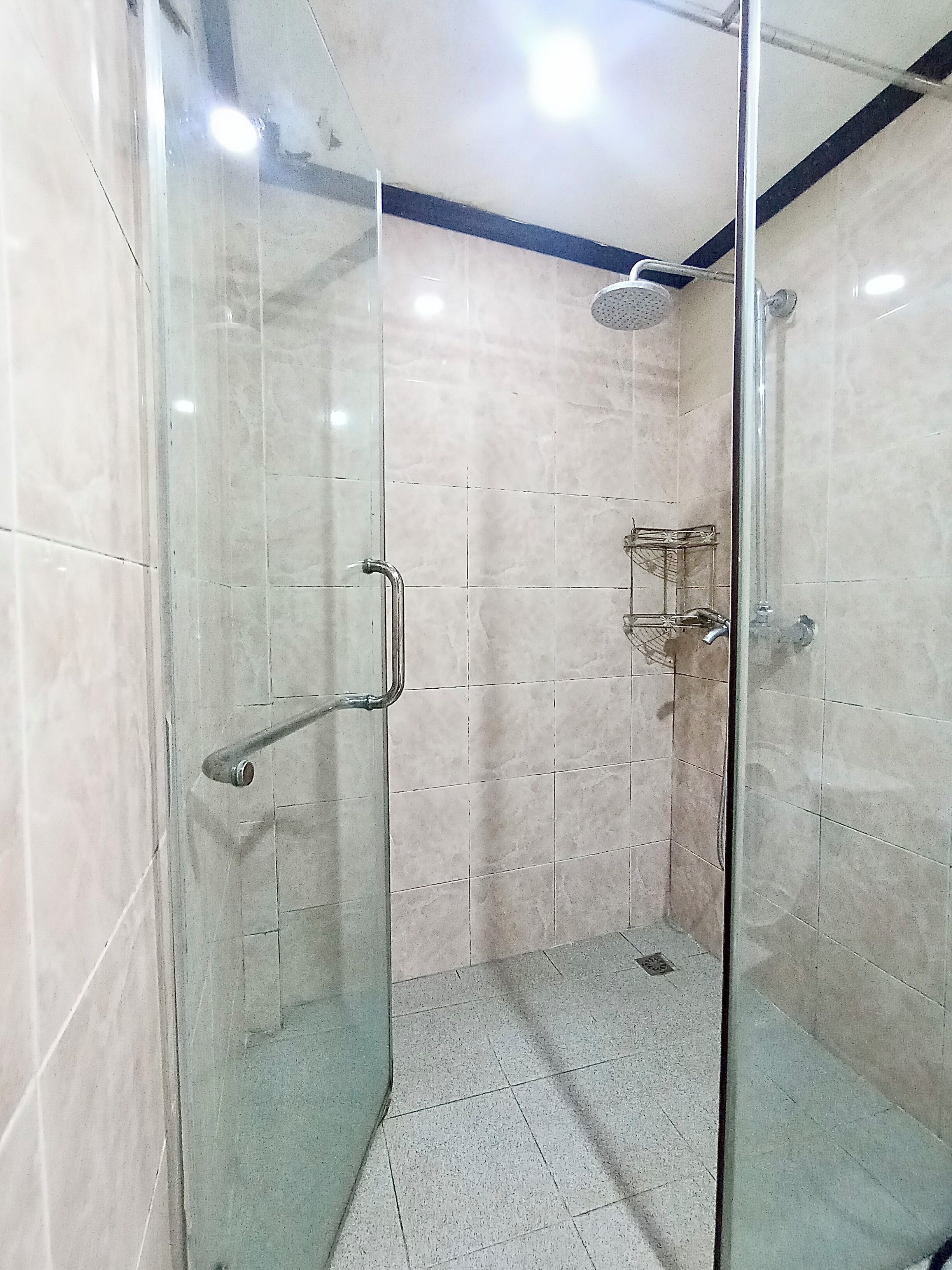 A glass-enclosed shower stall with a handrail, tiled walls, and a ceiling light.