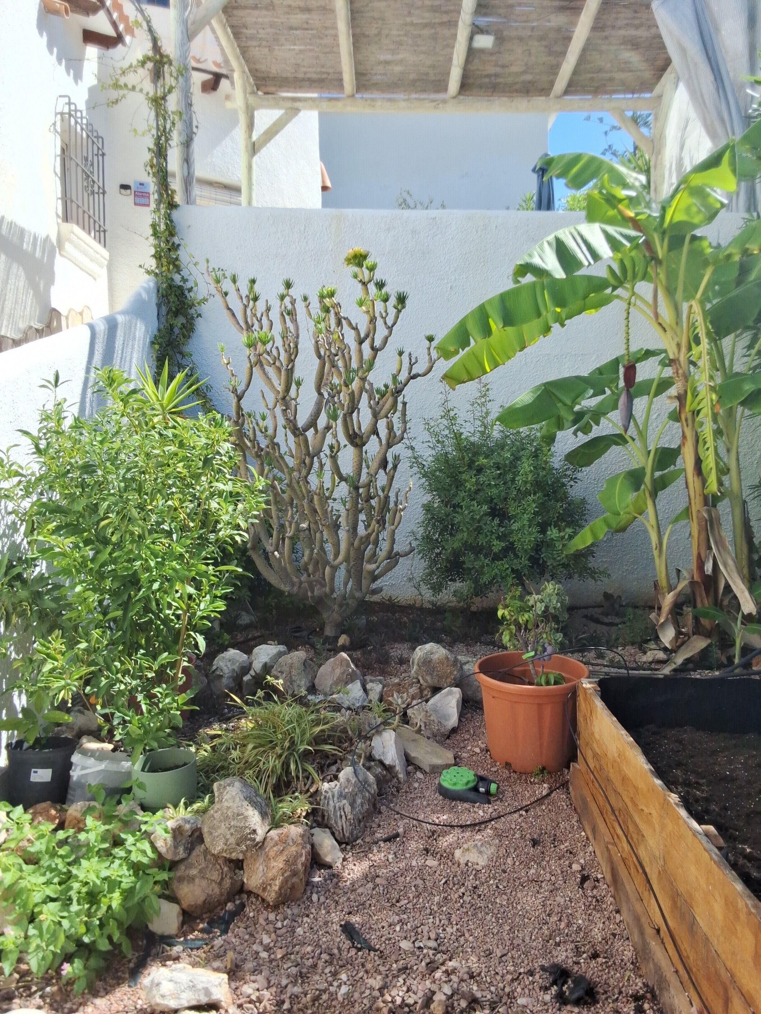 Enceinte de l’hébergement