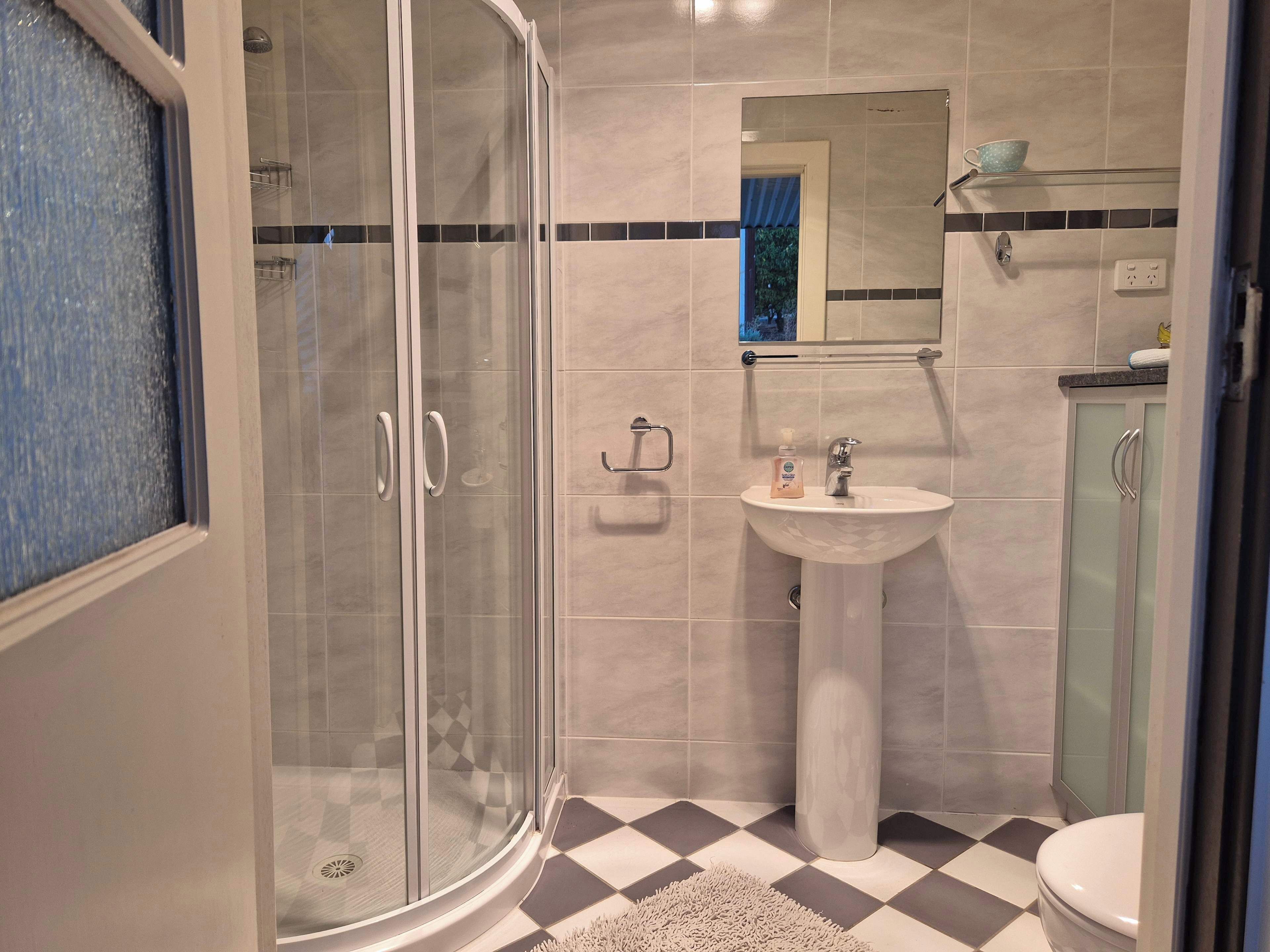 Hair dryer, towels, soap, shampoo