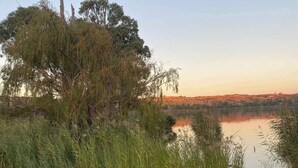 A boat on the shore of a lake with trees and grass in the foreground. - Tipsy Hill Cottage, River Views at Walker Flat SA. Perfect for a weekend getaway (Forster)