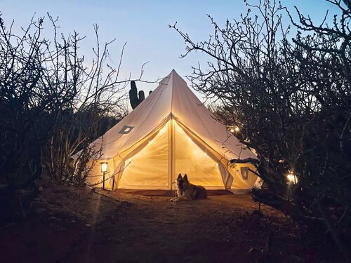 Desert Zen With Pool Rooftop and Glamping Tent