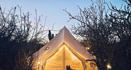 Desert Zen With Pool Rooftop and Glamping Tent
