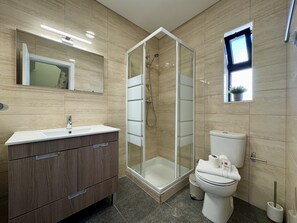 Shower, hair dryer, towels