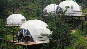 Geodesic dome accommodations surrounded by greenery, with outdoor seating and a wooden deck.