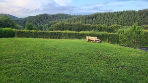 A grassy field with a wooden bench and a dense forest in the background. - Vacation home Tannenblick in the heart of the Eifel (Hellenthal)