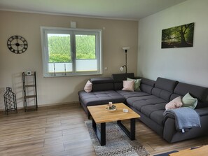 Smart TV, fireplace, video games, books