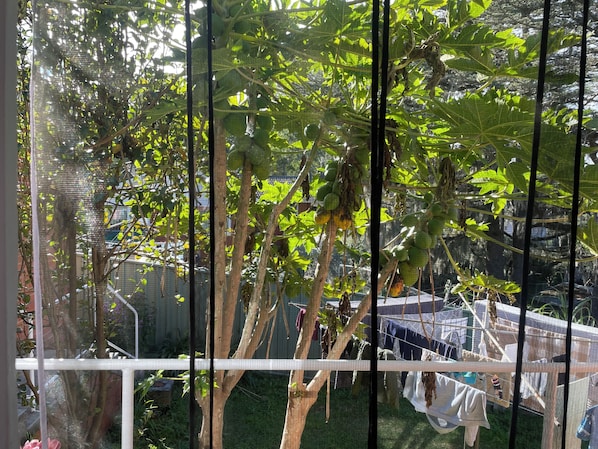 المنطقة المحيطة بالمنشأة