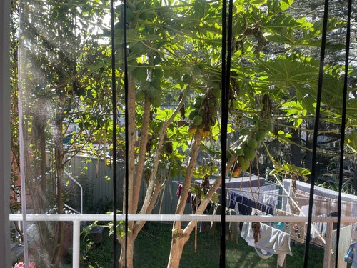 Simple sunny room at a quiet location