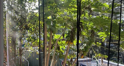 Simple sunny room at a quiet location