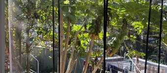 Simple sunny room at a quiet location