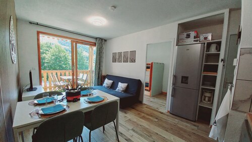 Appartement 5/7 personnes pied des pistes