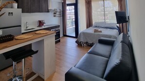 Ein kompakter Wohnraum mit Küchenzeile, einer Couch, einem Bett und einem Fernseher.