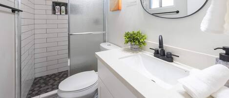 A modern bathroom with a glass shower enclosure, a white toilet, a sink with a mirror, and a small potted plant.