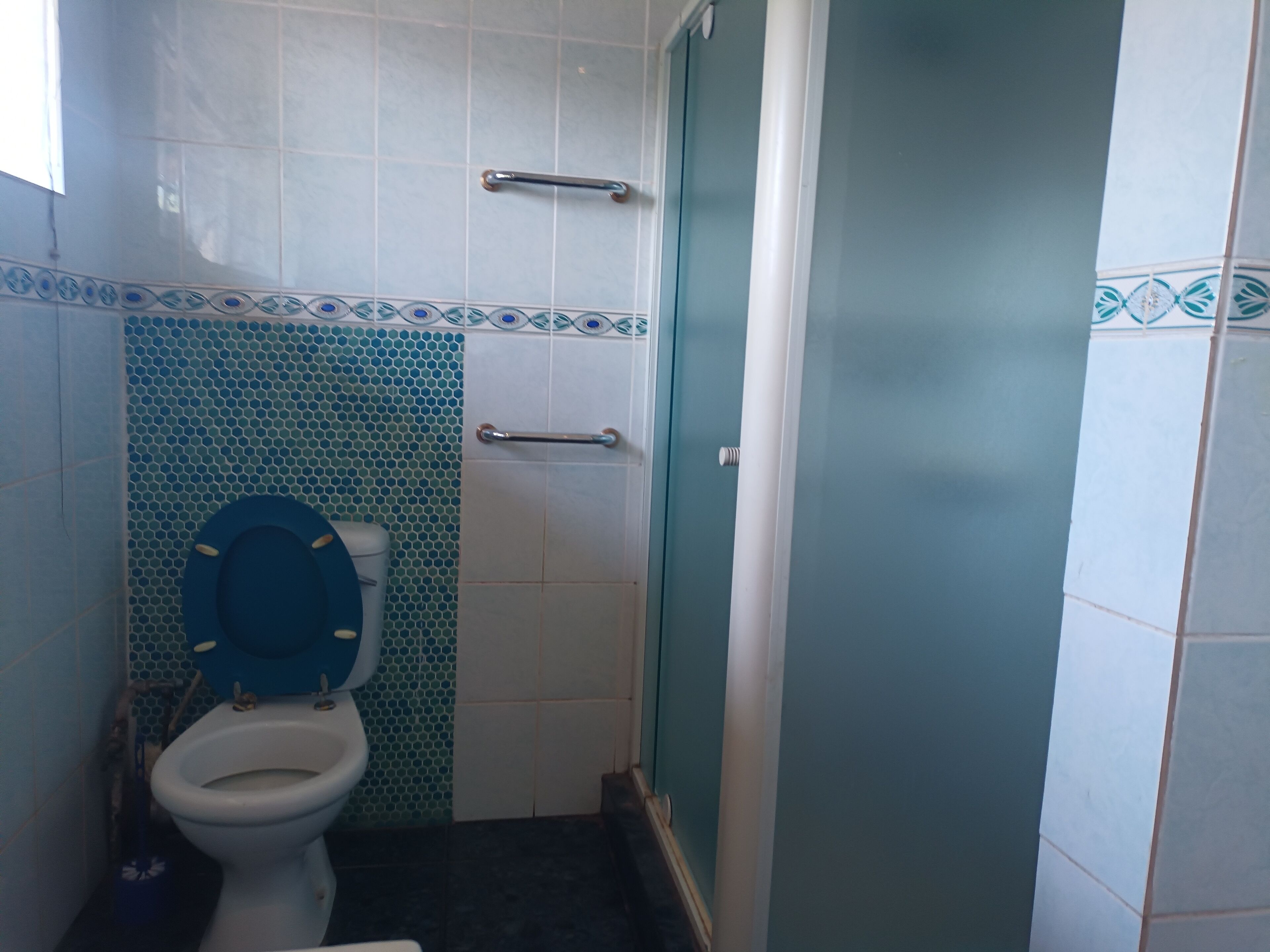 Un baño con inodoro, ducha y pared de azulejos con diseño azul y blanco.