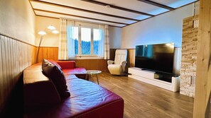 Smart-TV, Kamin