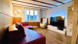 Smart-TV, Kamin
