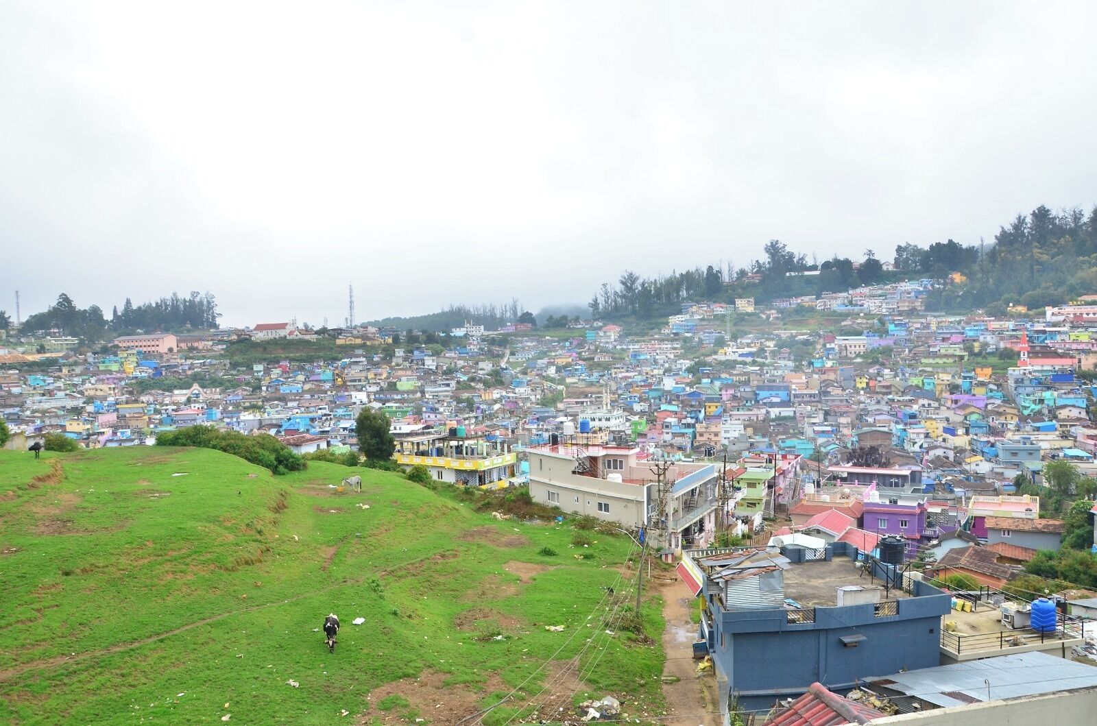 Pemandangan dari properti