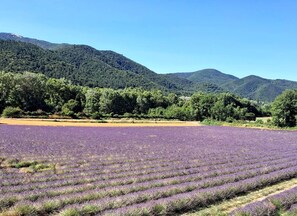 Miscellaneous - House in wooded grounds (Le Poët-Laval)