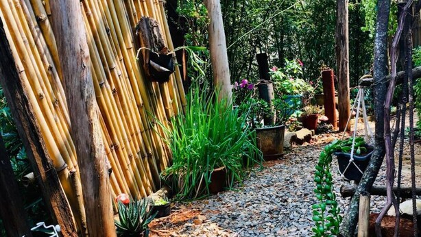 A garden path with bamboo structures and various potted plants. - Compact Tiny House Bambuzal (Paty do Alferes)