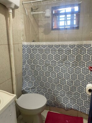 Ducha, toallas, jabón, papel higiénico