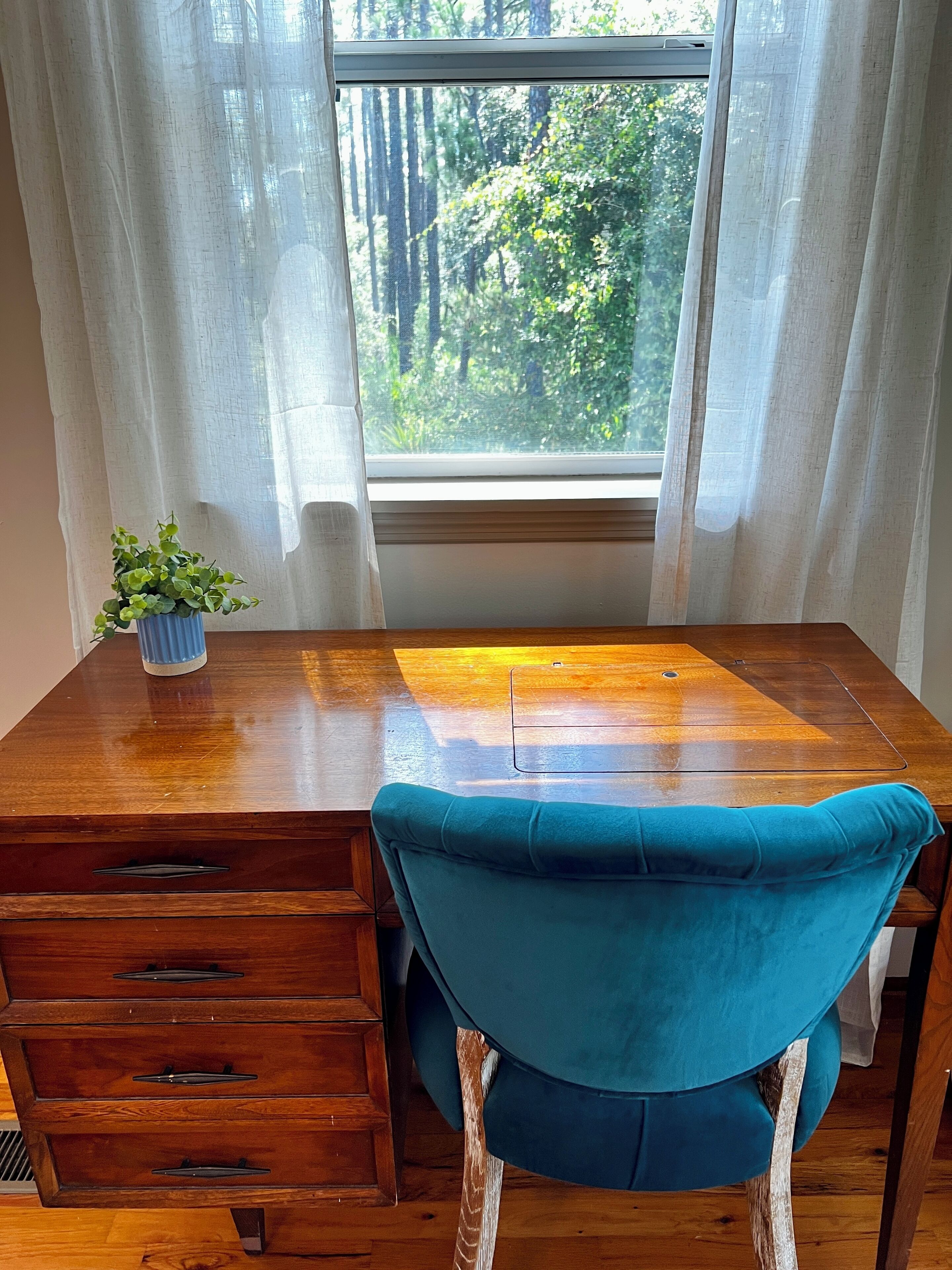A wooden desk with a blue chair, a small plant, and a window with curtains.