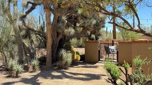 Un jardin désertique avec des cactus et une petite construction en briques dotée d’un portail.
