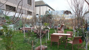 Een tuin met een tafel, stoelen, een kleine boom en een varken.